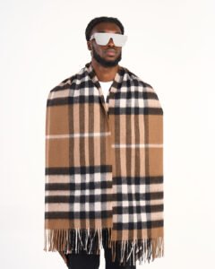 Trendsetting Designer Cashmere Scarves